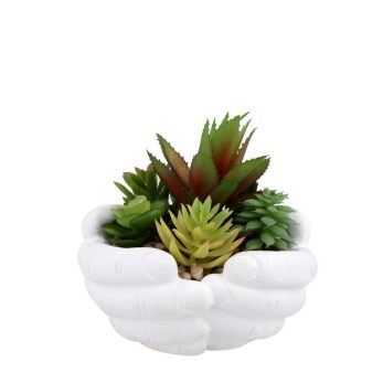 Fdx 007 El Tansım Sucullent 16-19x19x16 Cm